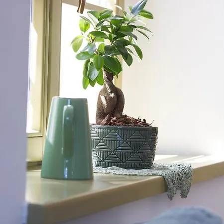 Tatil Evi Hisa Liza *