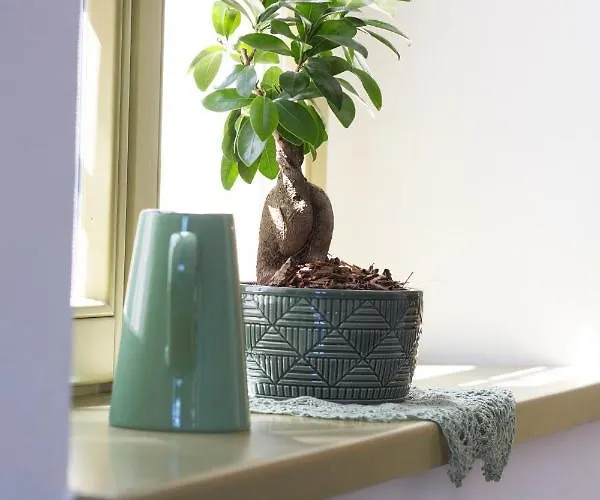 Prázdninový dům Hisa Liza *